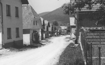 eika image